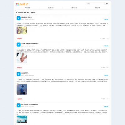 【大格子】简约响应式日记博客